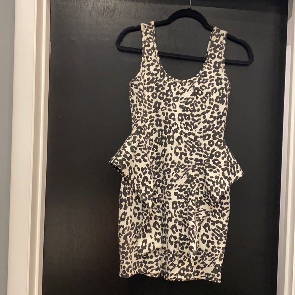 Zebra Print Dress